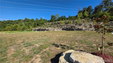 Lake Lot For Sale in Byrnes Mill, Missouri