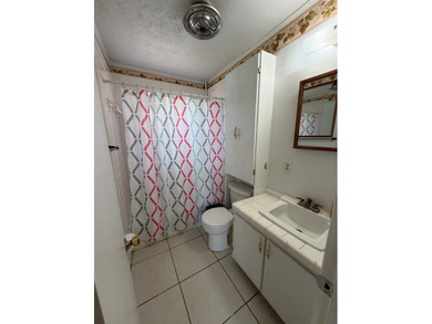 Located on the beautiful big water of Lake Seminole, this 3 - photo 35