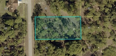Lehigh Acres Area Lot For Sale in Lehigh Acres Florida