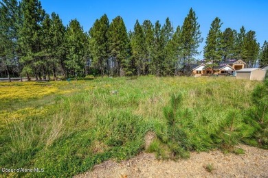 Lake Lot For Sale in Newport, Washington