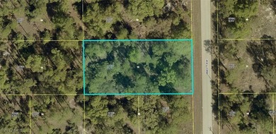 Lehigh Acres Area Lot For Sale in Lehigh Acres Florida
