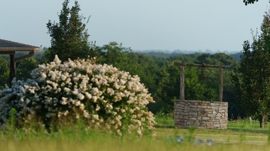 'LEGENDARY 'SMITH RANCH'...One of the Highest Point, Views in - photo 31