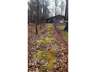 Hunters Paradise!! Beautiful 3 bedroom, 2 full bath home sitting - photo 32