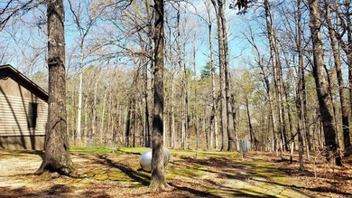 Hunters Paradise!! Beautiful 3 bedroom, 2 full bath home sitting - photo 37