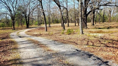 Hunters Paradise!! Beautiful 3 bedroom, 2 full bath home sitting - photo 40