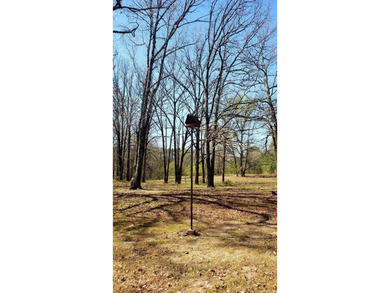 Hunters Paradise!! Beautiful 3 bedroom, 2 full bath home sitting - photo 41