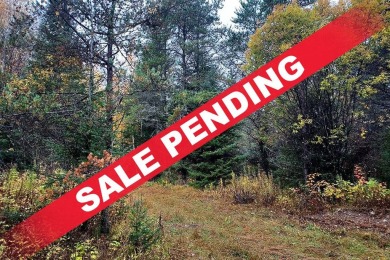 (private lake, pond, creek) Acreage For Sale in Crandon Wisconsin