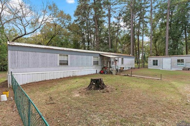 Lake Murvaul Home For Sale in Gary City Texas