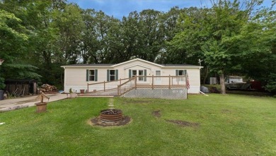 Lake Home For Sale in Dane Prairie Twp, Minnesota