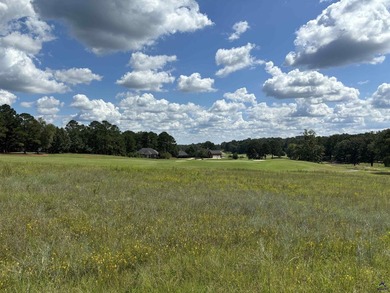 Are You looking for the Perfect Lot on the Golf Course to build - photo 1