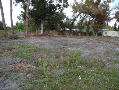 Oversized, cleared, residential lot, centraly located in the - photo 2