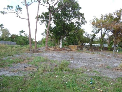 Oversized, cleared, residential lot, centraly located in the - photo 3