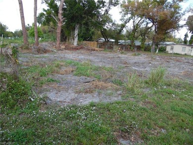 Oversized, cleared, residential lot, centraly located in the - photo 5