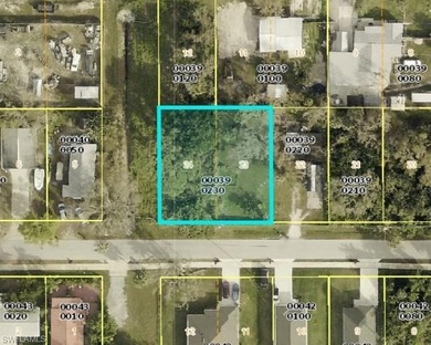 Oversized, cleared, residential lot, centraly located in the - photo 8