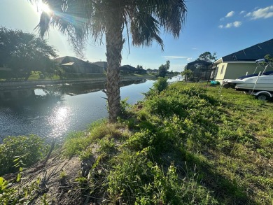Lake Lot For Sale in Cape Coral, Florida