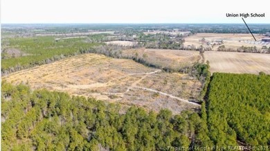 (private lake, pond, coastal) Acreage For Sale in Rose Hill North Carolina