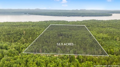 Private 53.9-Acre Retreat in Rangeley Plantation. Escape to your - photo 9
