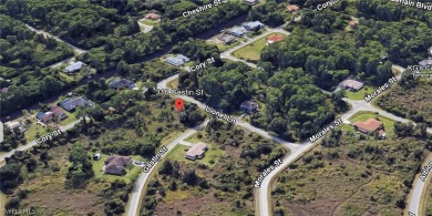 Oversized corner lot near Myakka State Park and Englewood beach - photo 3