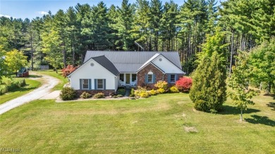 (private lake, pond, creek) Home For Sale in Thompson Ohio