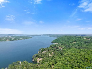 Amazing views overlook Lake Guntersville in the desired River - photo 45