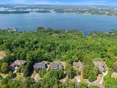 Amazing views overlook Lake Guntersville in the desired River - photo 46