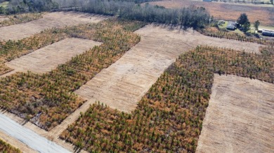 Lake Marion Acreage For Sale in Cross South Carolina