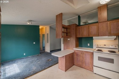 BRAND NEW ROOF, HEAT PUMP & CARPET! This 3-bed, 2-bath MFH on a - photo 19
