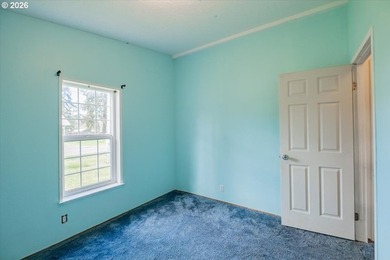 BRAND NEW ROOF, HEAT PUMP & CARPET! This 3-bed, 2-bath MFH on a - photo 29