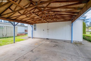 BRAND NEW ROOF, HEAT PUMP & CARPET! This 3-bed, 2-bath MFH on a - photo 31