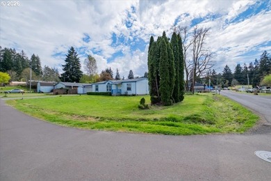 BRAND NEW ROOF, HEAT PUMP & CARPET! This 3-bed, 2-bath MFH on a - photo 35