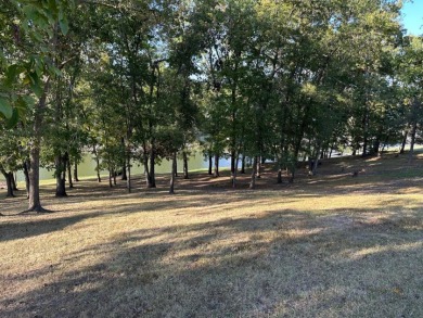 WATERFRONT LOT ON QUIET COVE! - photo 4