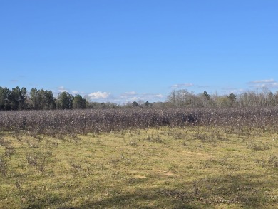 Alabama River Acreage For Sale in Autaugaville Alabama