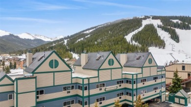 Lake Condo For Sale in Copper Mountain, Colorado