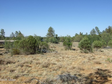 (private lake, pond, creek) Lot For Sale in Pinedale Arizona