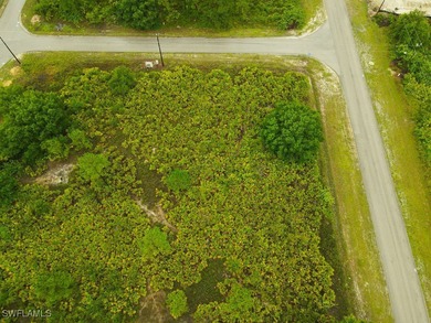 Lehigh Acres Area Lot For Sale in Lehigh Acres Florida