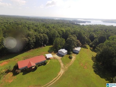 Lake Wedowee / RL Harris Reservoir Home For Sale in Lineville Alabama