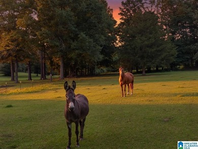 *PARADISE IN CALERA* Escape to the perfect blend of comfort - photo 4