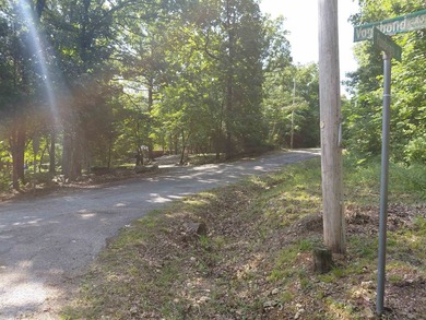 8 Lots in Ozark Acres in North Central Arkansas. Just outside - photo 11