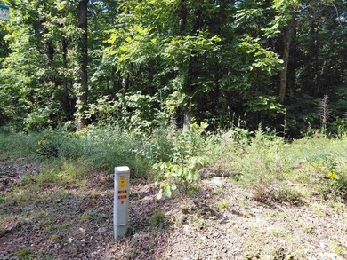 8 Lots in Ozark Acres in North Central Arkansas. Just outside - photo 12