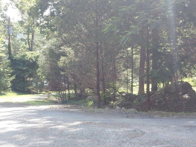 8 Lots in Ozark Acres in North Central Arkansas. Just outside - photo 13