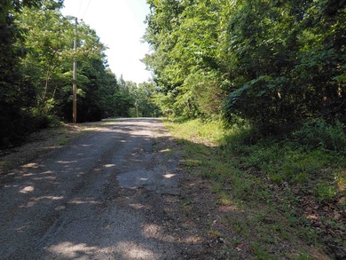 8 Lots in Ozark Acres in North Central Arkansas. Just outside - photo 15