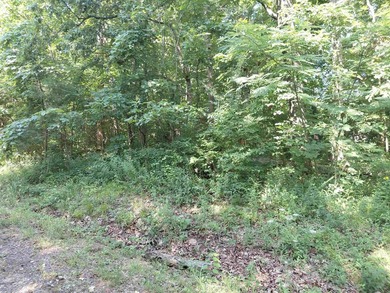 8 Lots in Ozark Acres in North Central Arkansas. Just outside - photo 16