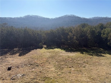 Welcome to 80 Table Rock Drive in Holiday Island! This charming - photo 17