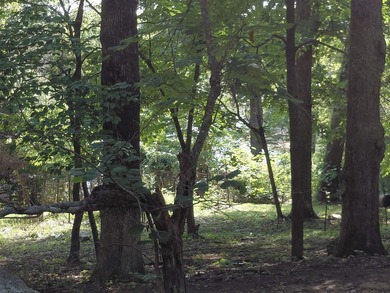 8 Lots in Ozark Acres in North Central Arkansas. Just outside - photo 17