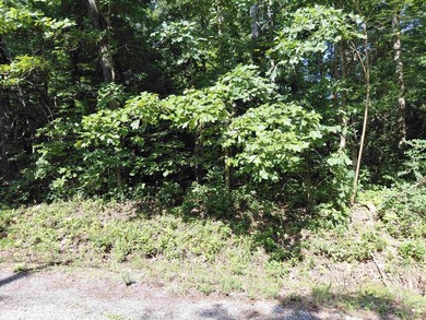 8 Lots in Ozark Acres in North Central Arkansas. Just outside - photo 18