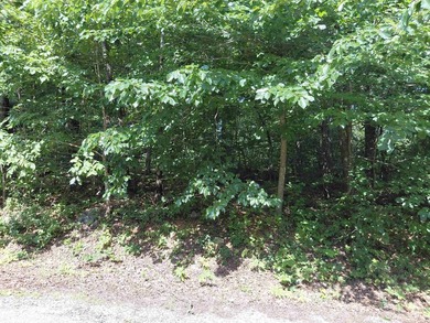 8 Lots in Ozark Acres in North Central Arkansas. Just outside - photo 19