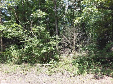 8 Lots in Ozark Acres in North Central Arkansas. Just outside - photo 20