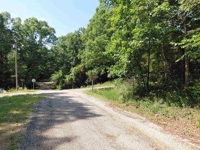 8 Lots in Ozark Acres in North Central Arkansas. Just outside - photo 21