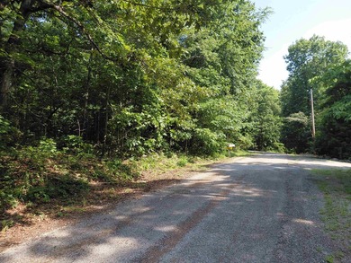 8 Lots in Ozark Acres in North Central Arkansas. Just outside - photo 22