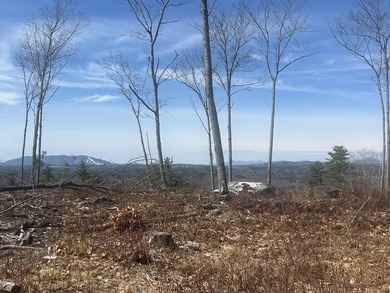 Stunning 10A+- acre Kingdom lot offering breathtaking panoramic - photo 2